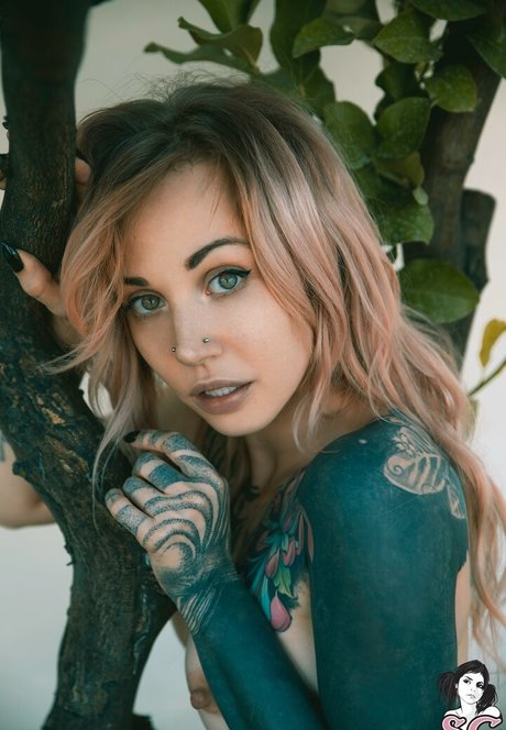 Ninaq kunst beste archiv