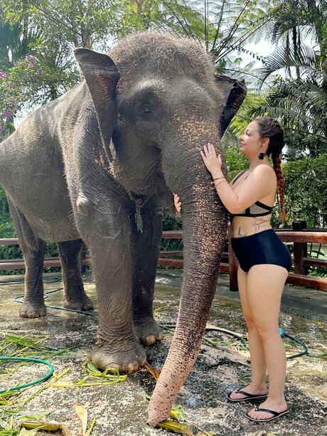 Sophiiejay nackt porno fotos