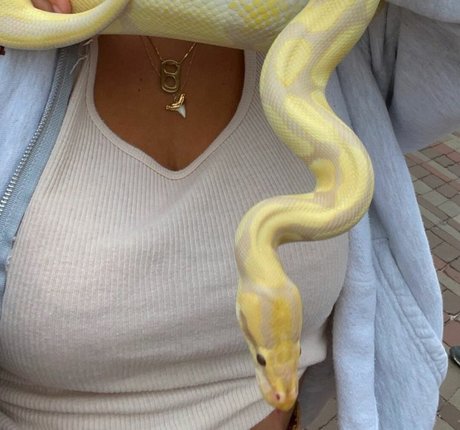 Lola Dubrul sexy pornografische bild