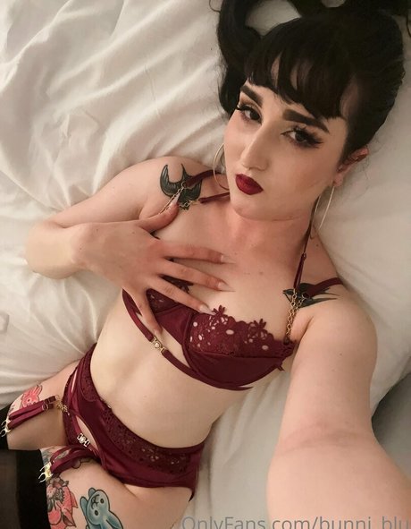 bunni blu freie archiv