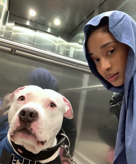 Capeverdian schauspielerin schöne foto