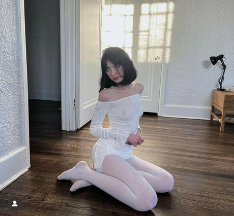 ashrosedaniels kunst freie archiv