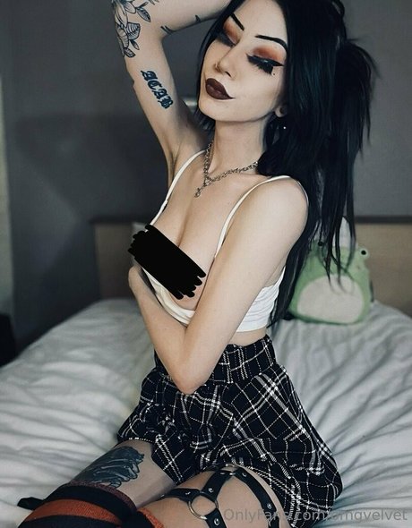 omgvelvet freie perfekte archiv