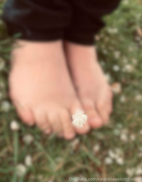 ravenclawslostdiadem pornostar top foto