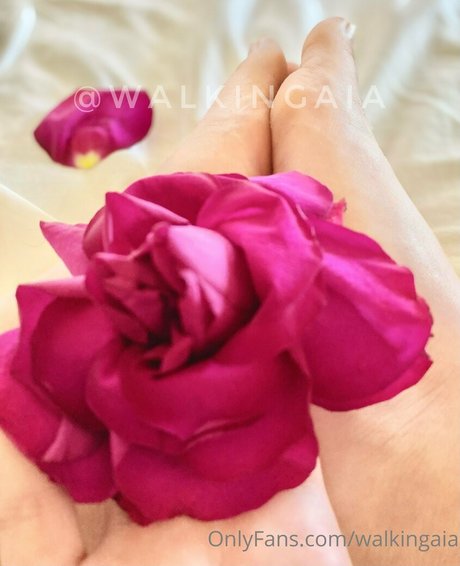 walkingaia hübsche nette bilder