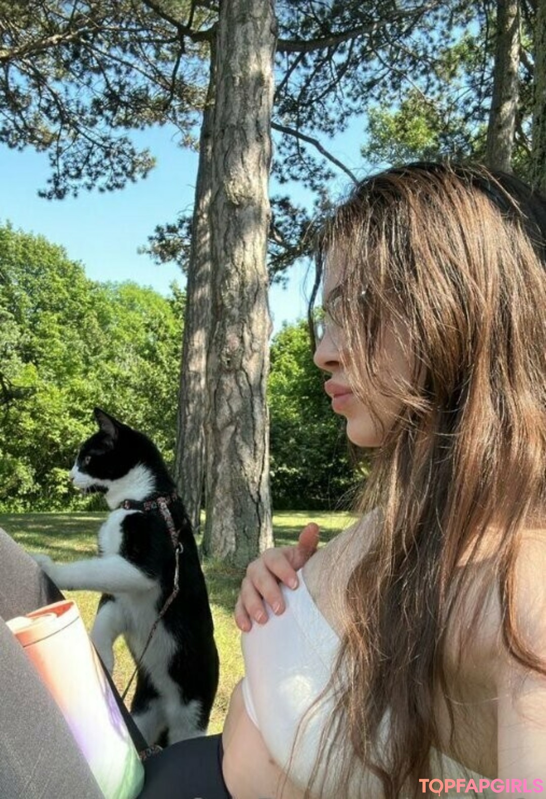 sudefit1 kostenlose hd fotos