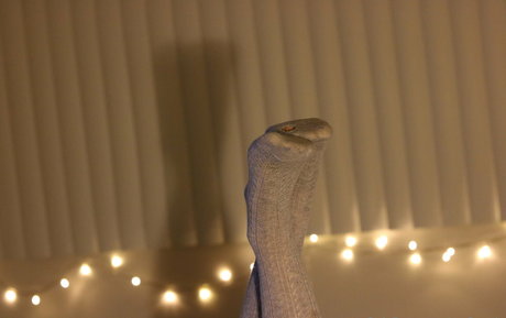 msfeetsie schauspielerin porno fotos