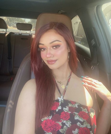 Punjabi Mami perfekte kunst galerien