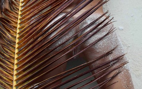 Zurine Aspiunza nackt erwachsene fotos