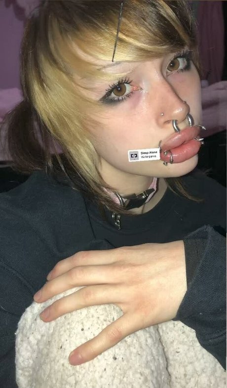 puppy xox perfekte xxx foto