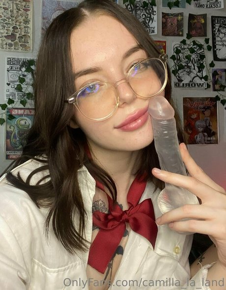 secretakame hübsche akt bild