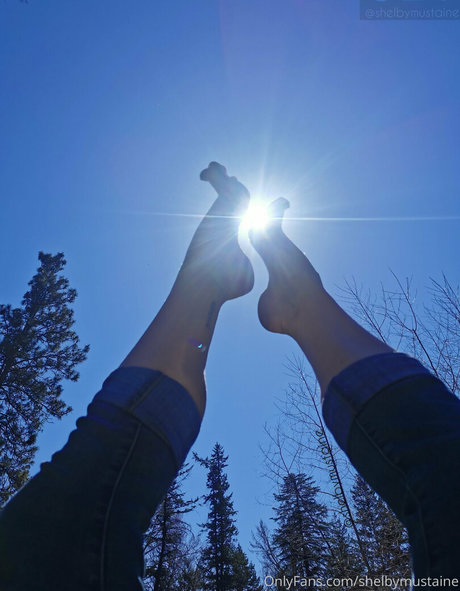 shelbymustaine Profilbild