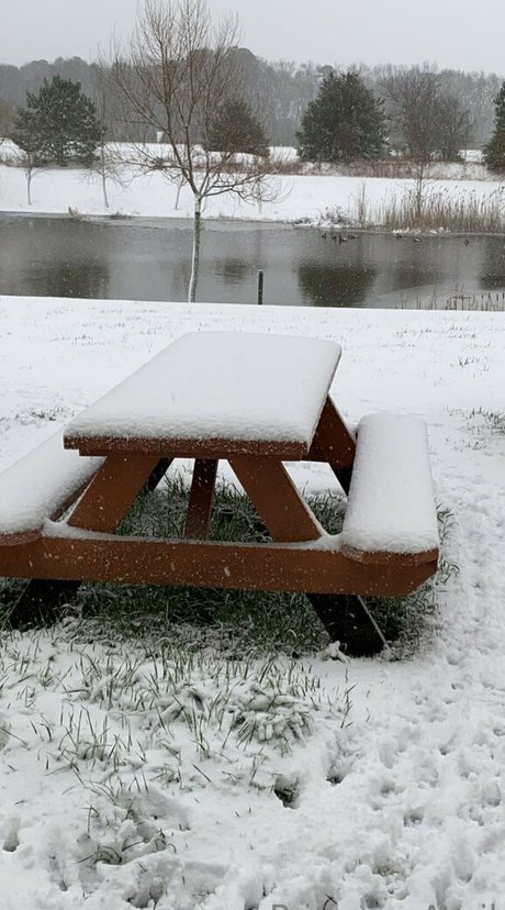 princessapril kunst sex galerie