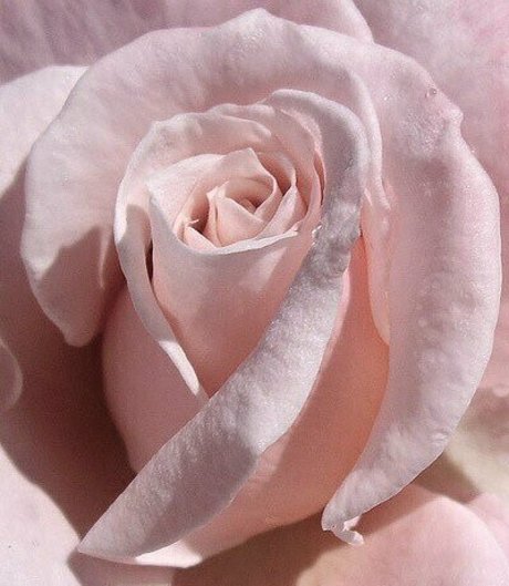 princessapril erwachsene fotos