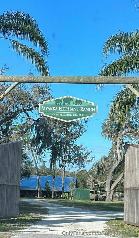 lockiges ebenholz nur fans erotische pornographische galerien