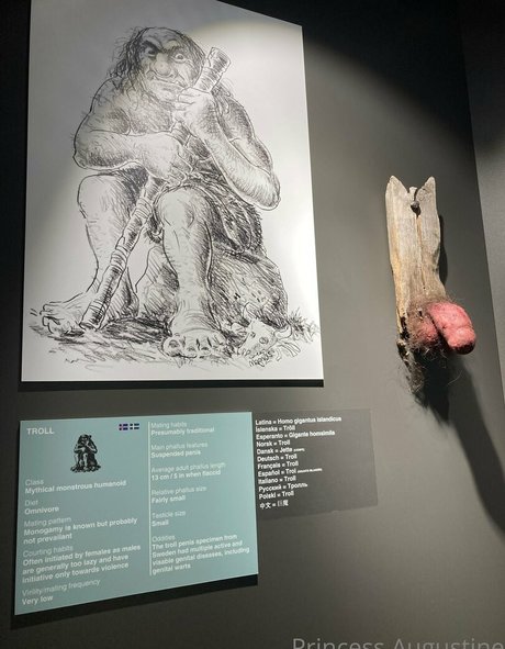 princessaugustine nackt erotische galerie