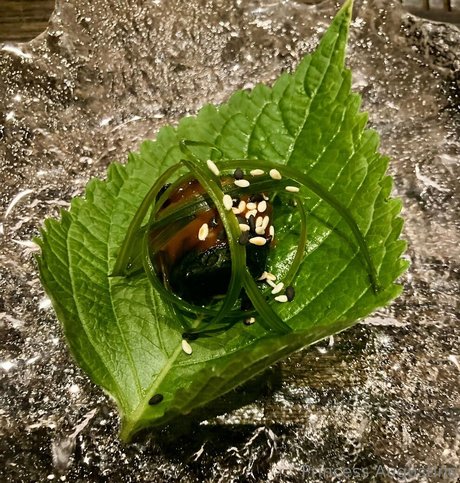 princessaugustine freie xxx bilder