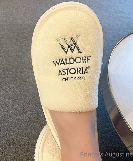 princessaugustine model bilder