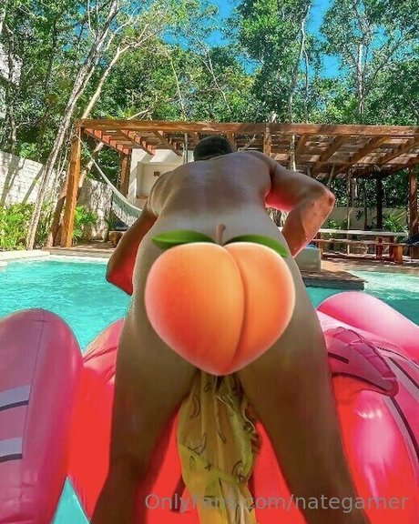 nategarner porno pornostar bild