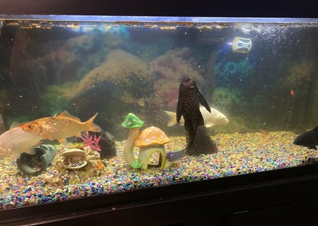 adamandlena erwachsene nackt bilder