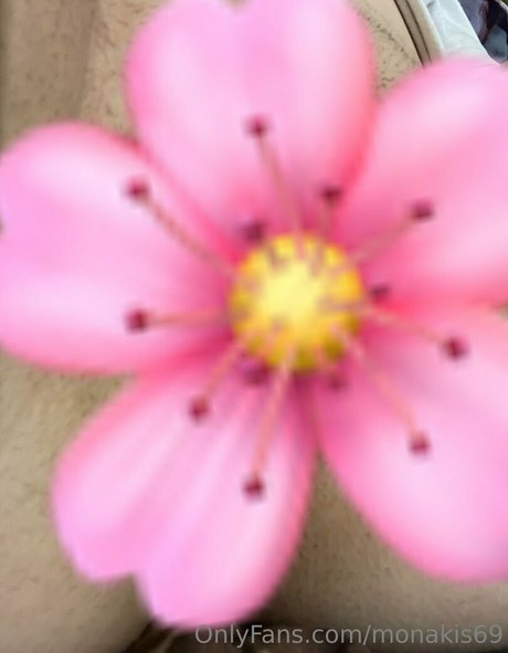 monakis69 top schöne galerien