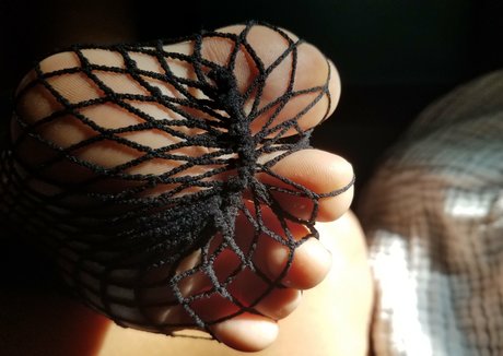 islandgaltoes erotische erwachsene foto