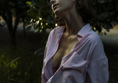 Roni Shif erwachsene kunst galerien