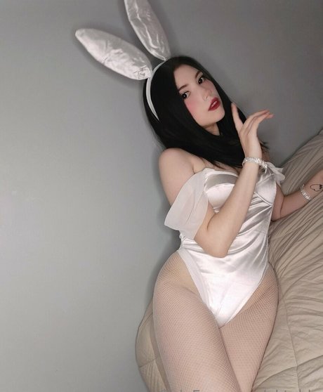 aktahly freie perfekte foto