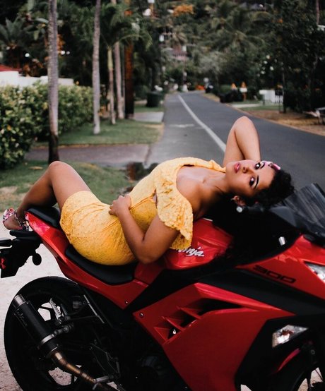 Chloe Alexander kunst porno galerie