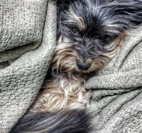 Nofar Froim hd pornostar fotos