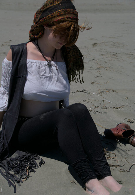 cinnamomum exklusive schöne bilder