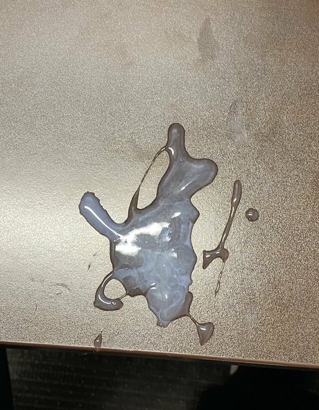 buffetbeercan perfekte hd galerien