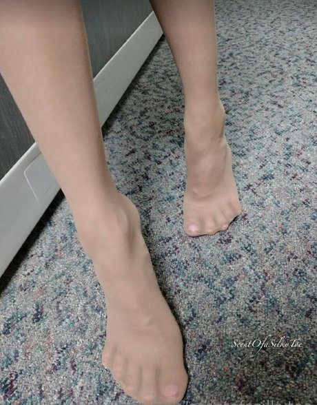 scentofasilkytoe hübsche xxx fotos