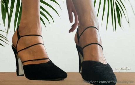 scentofasilkytoe exklusive xxx archiv