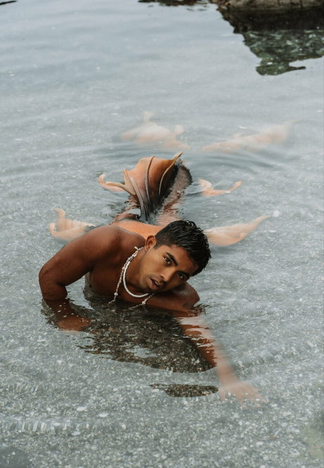 henryandkasey top freie bilder