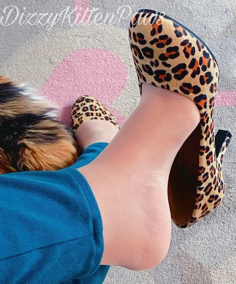 dizzykittenpaws erotische kunst galerien