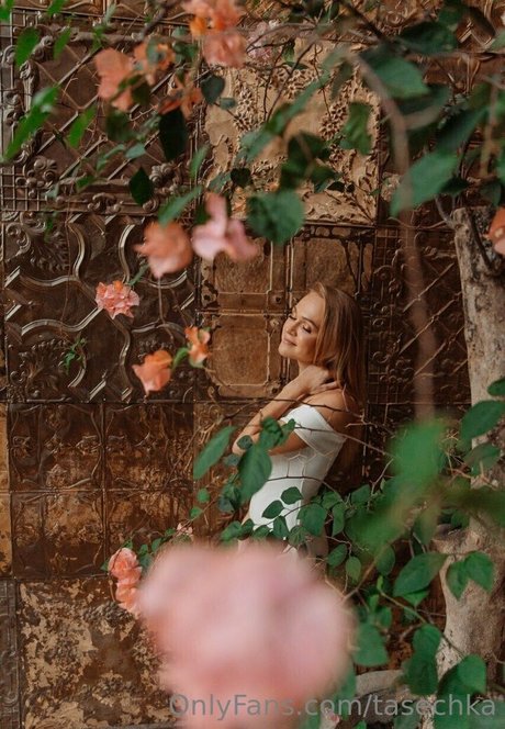 tasechka porno nackt bild