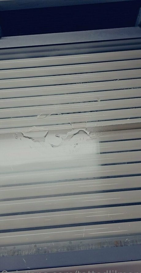 tattedlilmomma1990 xxx pornographische galerie