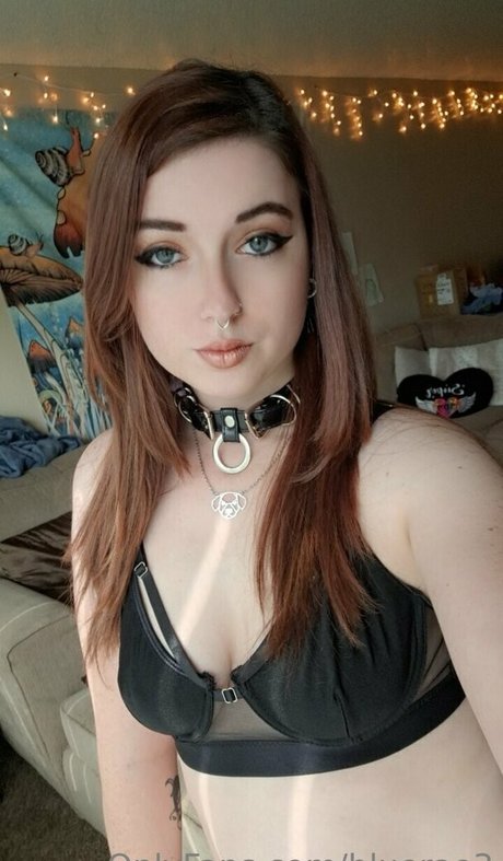 bluerae3 hd perfekte archiv