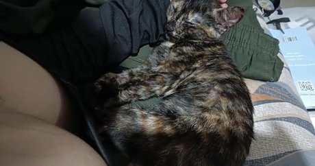 kittylunna beste nacktheit archiv