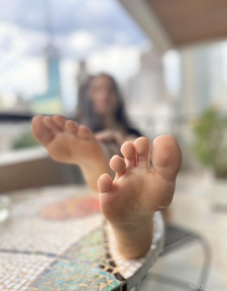 lananoccioli pornografische archiv