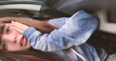 hanillawafer perfekte freie fotos