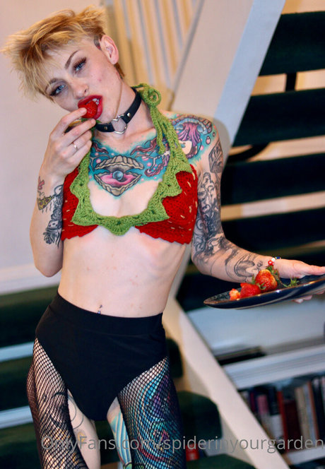 spiderinyourgarden perfekte exklusive fotos