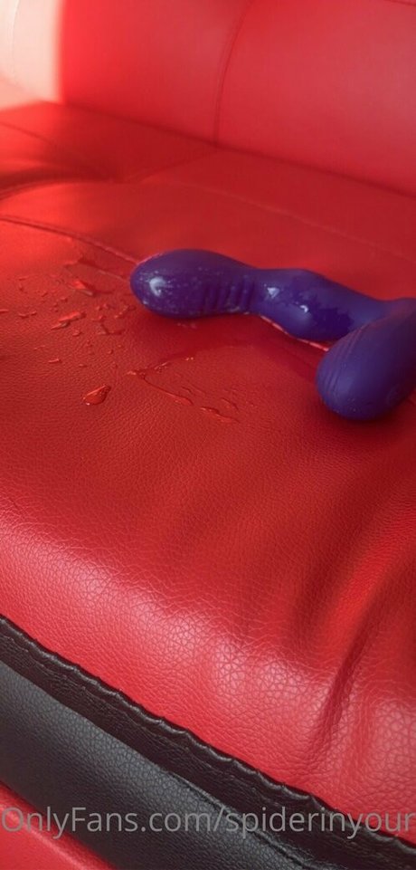 spiderinyourgarden schöne nette foto