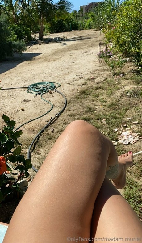 madam muriel schöne pornographische bild