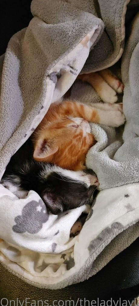 vollbusige brünette onlyfans nackten bilder