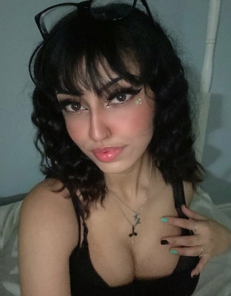 Lilrorivert top exklusive galerien