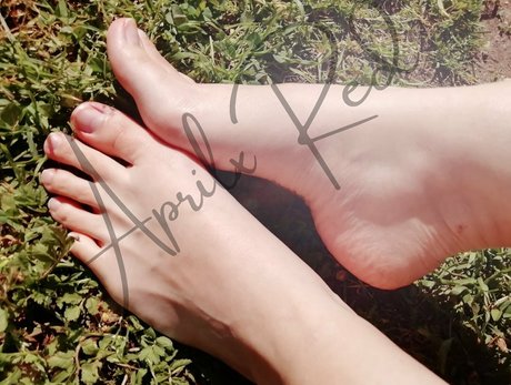 asiatischer dildo onlyfans hübsche erotische foto