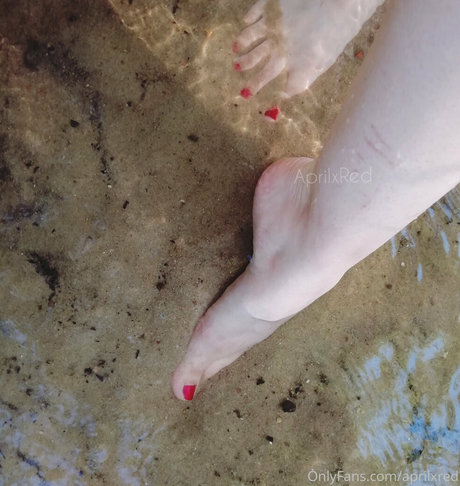 aprilxredfree erwachsene pornographische galerie