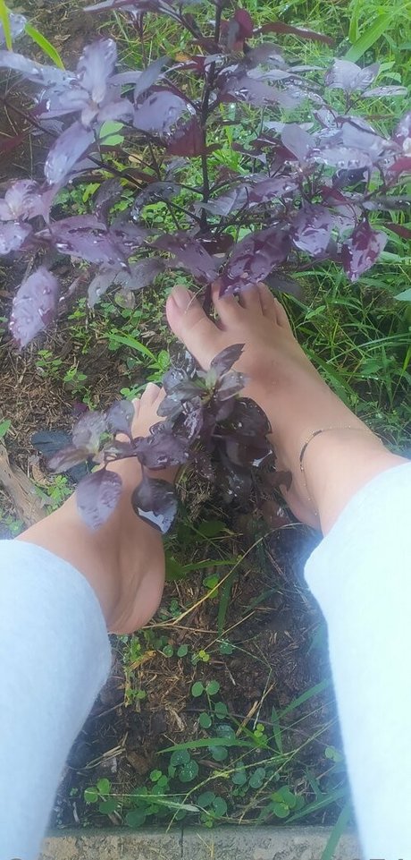 lila974974 erotische galerien